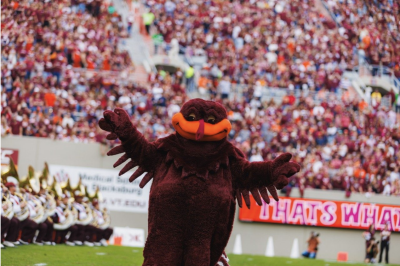 Hokie Bird