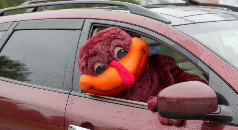 Hokie bird sitting in the passenger seat of a maroon car with the window rolled down.